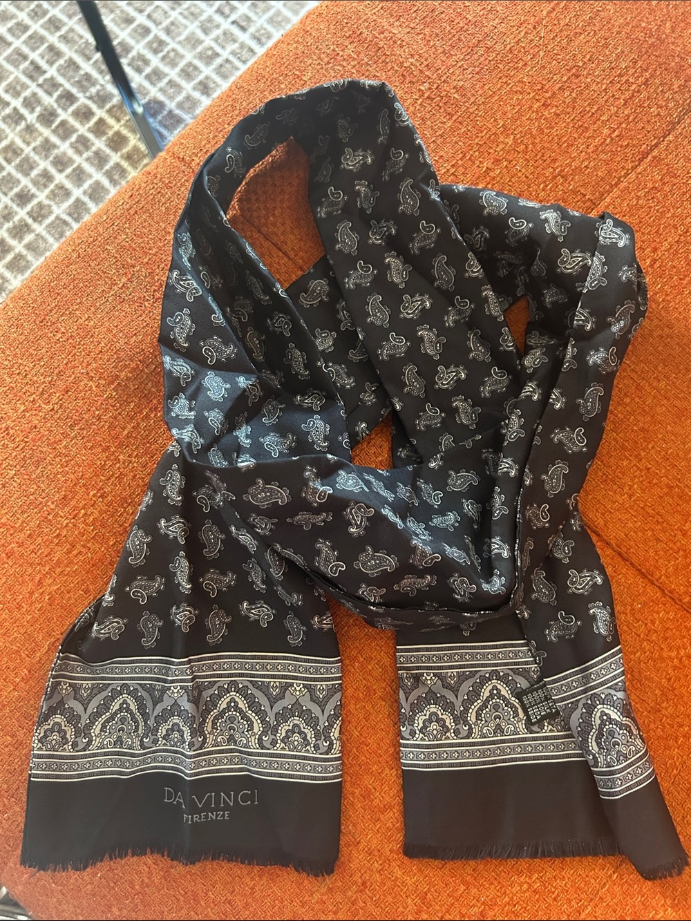 DaVinci Navy Paisley Border Silk Scarf